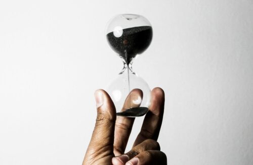 who-s-denilo-3ECPkzvwlBs-unsplash who-s-denilo-3ECPkzvwlBs-unsplash