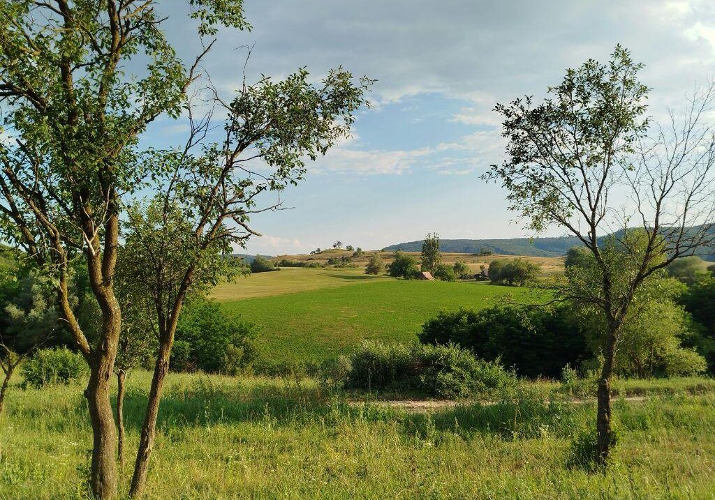 Certificato di Destinazione Urbanistica: il documento che può rallentare il rogito di un terreno