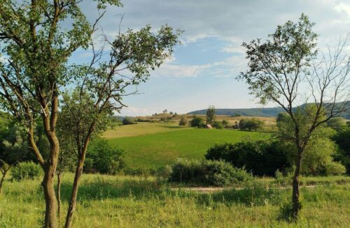 Certificato di Destinazione Urbanistica il documento che può rallentare il rogito di un terreno Certificato di Destinazione Urbanistica: il documento che può rallentare il rogito di un terreno